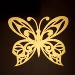 bird wing butterfly
