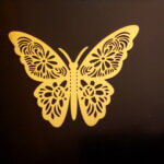 lily flowered butterfly