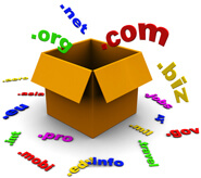 domain name registration